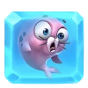 Foca cor de rosa
