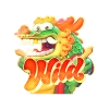 Dragão (Wild)